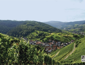 (gu)(k)Ǽ(j)Oberrhein¶I(yng)
