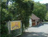 ݿвϣׁǼ(j)l(xing)Camp Matyas¶I(yng)