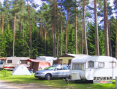 (gu)~Ǽ(j)ɭWaldsee¶I(yng)