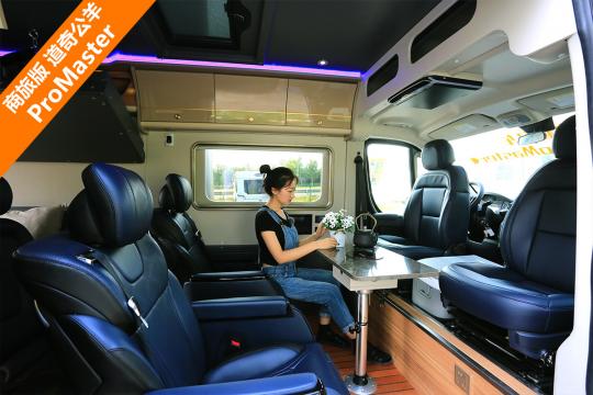 ҃Ȳ·f mȘO ð湫 ProMaster
